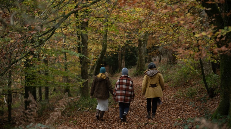 Three visitors walk away from the camera along a sheltered path covered in Autumn leaves.